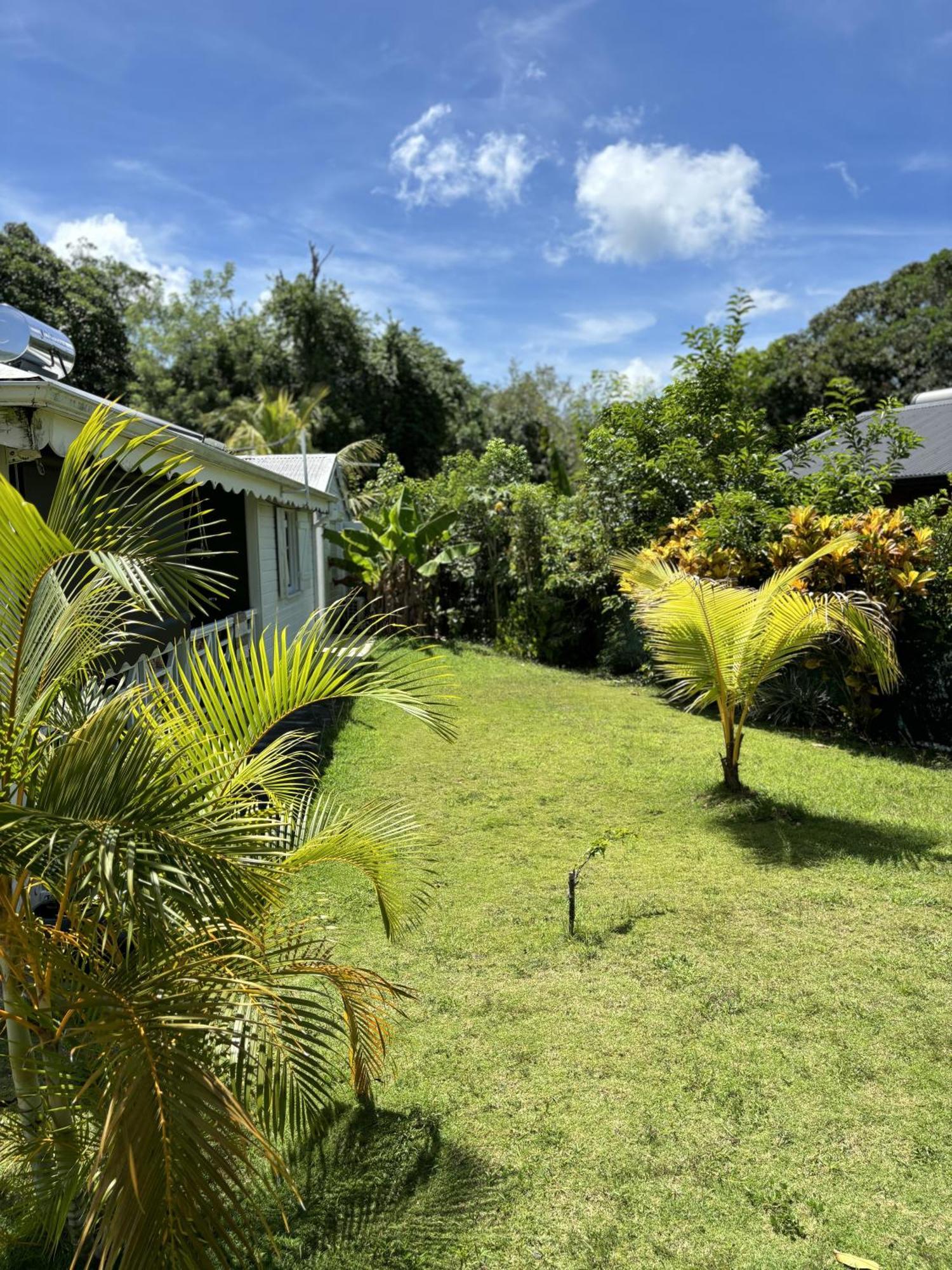La Maison Creole Du Flamboyant - Proche Des Plages Anse-Bertrand Exterior photo